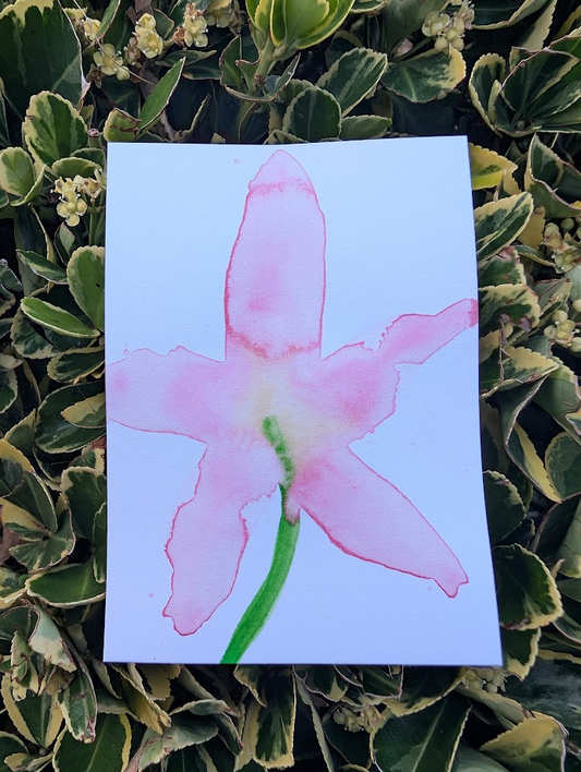 Original Watercolour Flower Painting | Minimalist Pink Botanical Artwork | OOAK Original Art